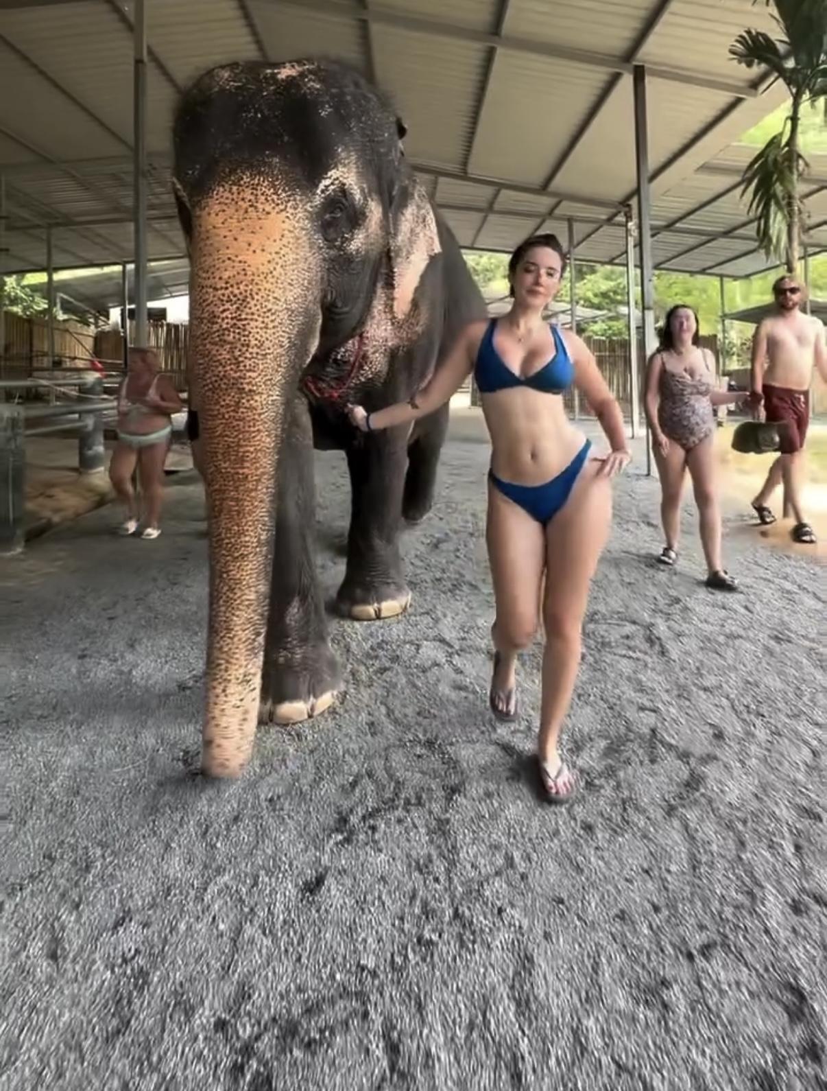 Hotblockchain Hotblockchain exclusive video 59 — OnlyFans girl content