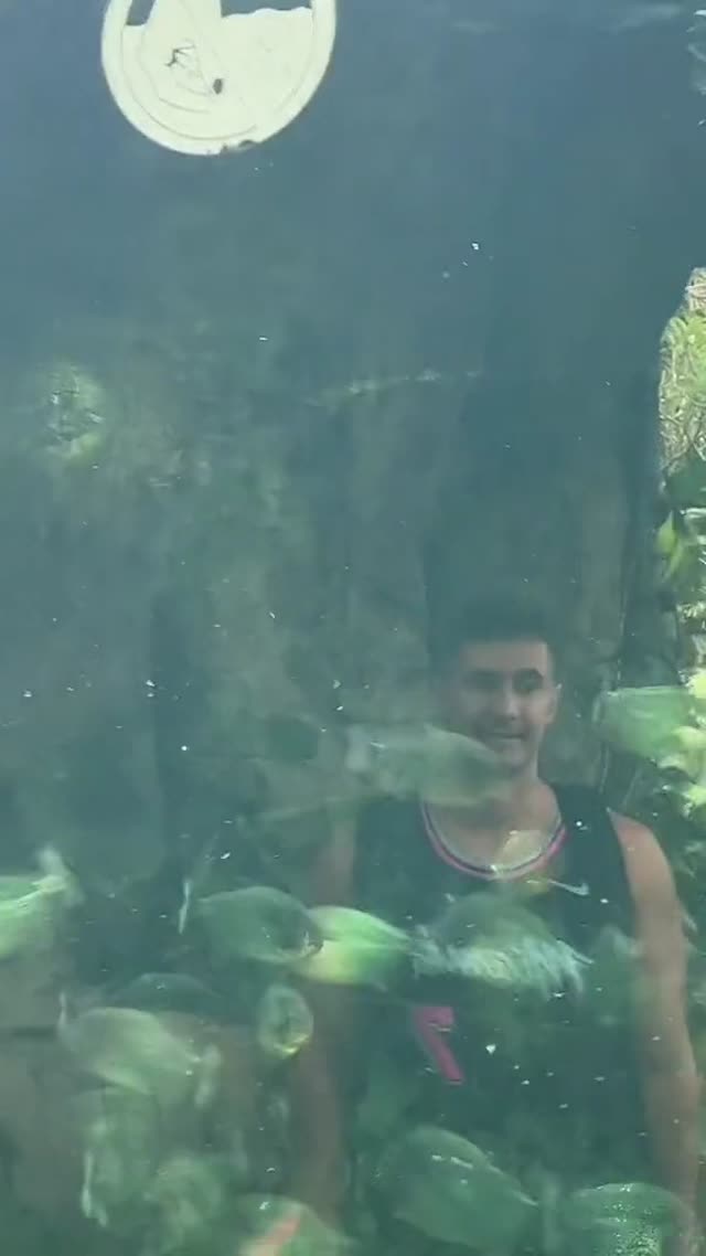 Mikaelatesta exclusive video 49 — OnlyFans girl content