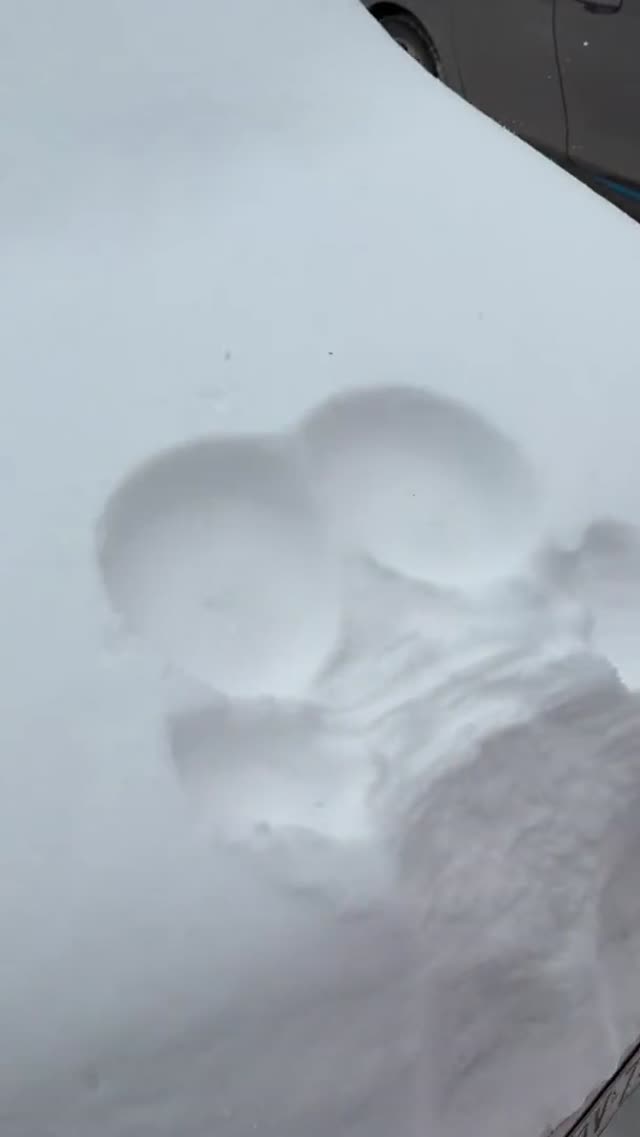 Dauriaikaa exclusive video 2 — OnlyFans girl content