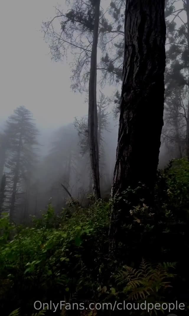 Krotchy exclusive video 31 — OnlyFans girl content