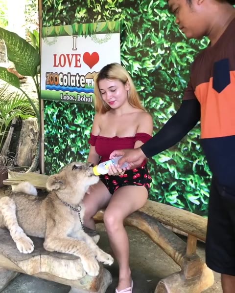 Pandorakaaki Pandorakaaki exclusive video 79 — OnlyFans girl content